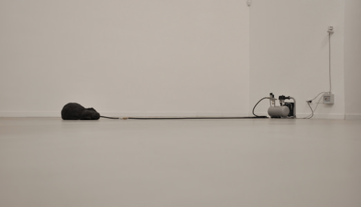 Fino al 10.XI.2014 | Pier Paolo Calzolari & Marco Maria Giuseppe Scifo | Z2O Sara Zanin, Roma